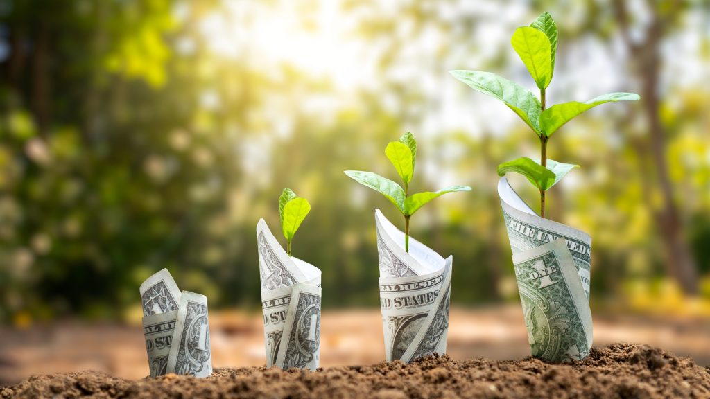 An Expert Guide to Unearthing Sustainable Investment in Mining Dollar bills seem to grow out of the dirt with new trees.