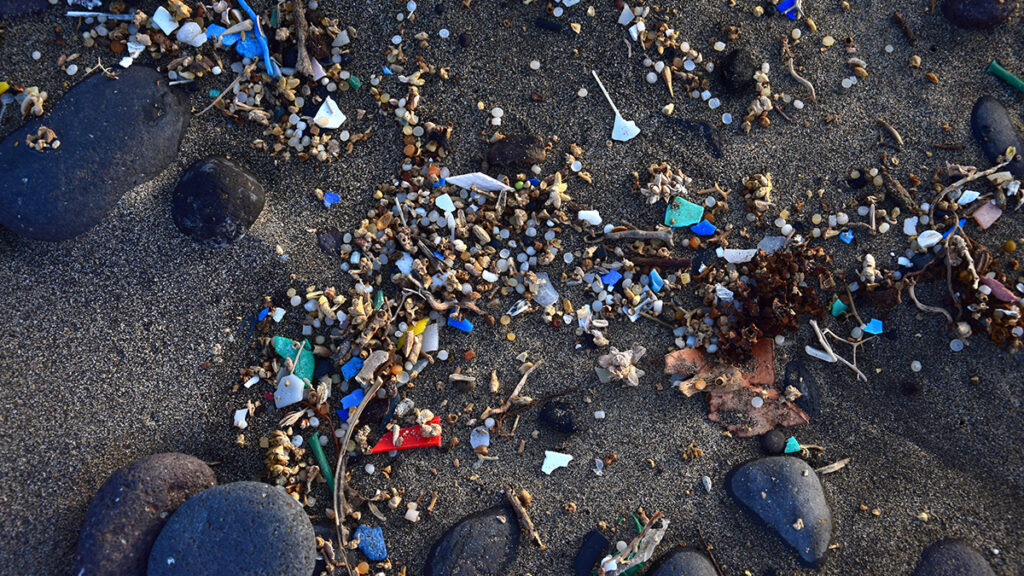 Aon foresees $5bn casualty catastrophe market Microplastics