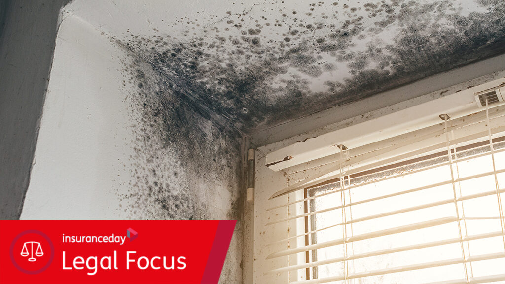 Awaab’s Law rewrites the rulebook for insurers on housing risk Mould