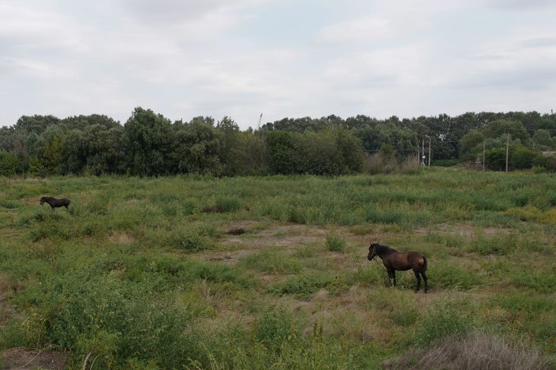 Drone breaches Romanian airspace during Russian attack on neighbouring Ukraine