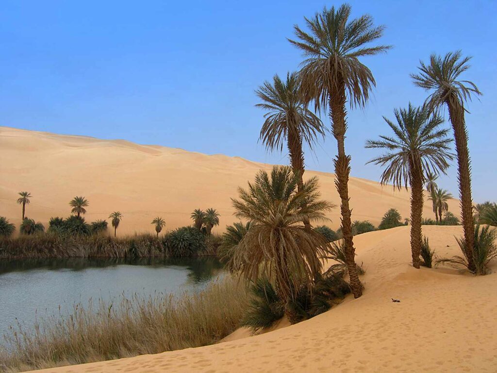 What This Means for the U.S. Economy What This Means for the U.S. Economy