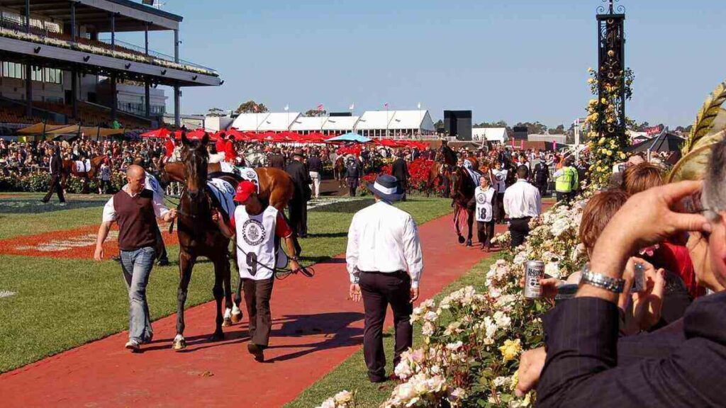 Backing a Cup Day RBA rate cut? It’s a long shot