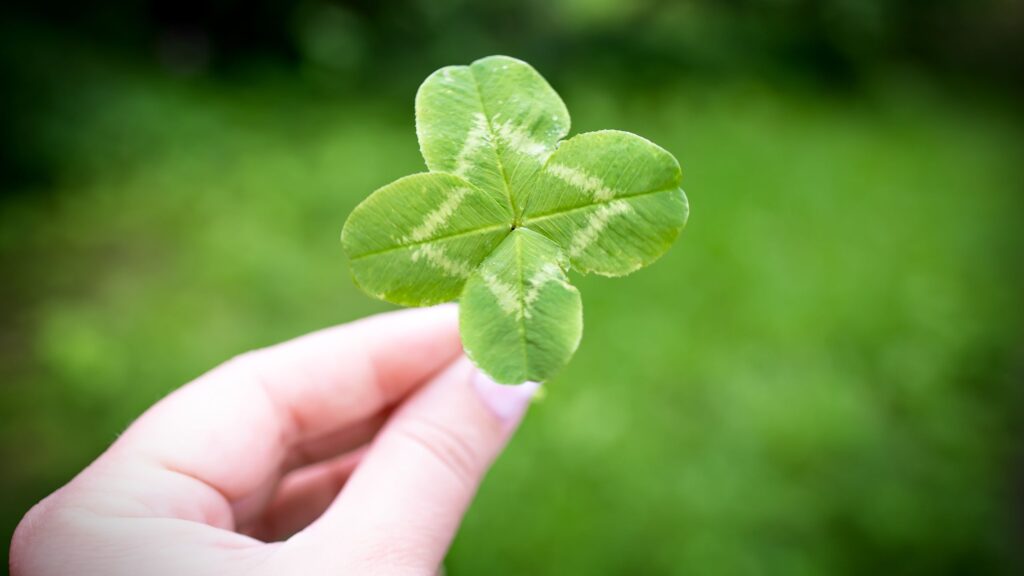 Financial To-Dos to Finish 2025 Strong and Start 2026 Stronger