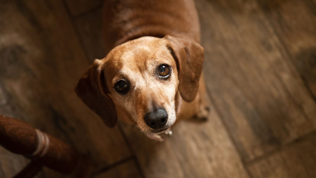 Question: Are You Planning for a 20- or 30-Year Retirement? Question: Are You Planning for a 20- or 30-Year Retirement?