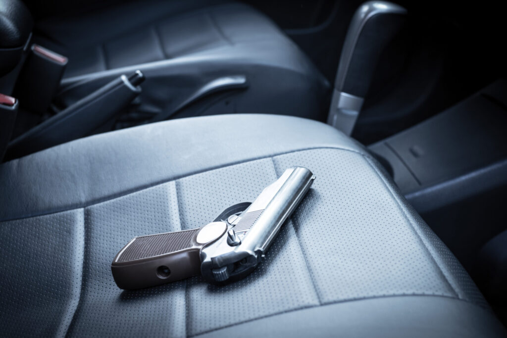 Georgia Lawmakers Move to Strike Savannah Ban on Guns in Unlocked Cars