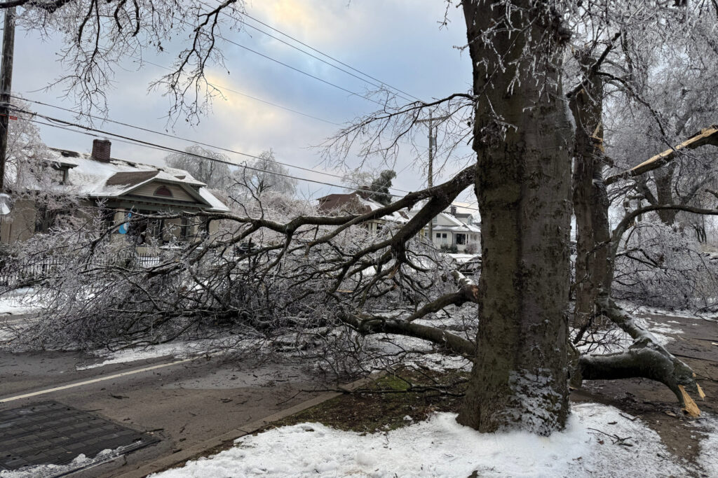Worries Deepened in South After Days of Snow, Ice and Power Outages