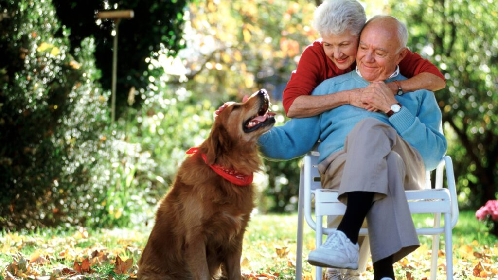 How to Add a Pet Trust to Your Estate Plan